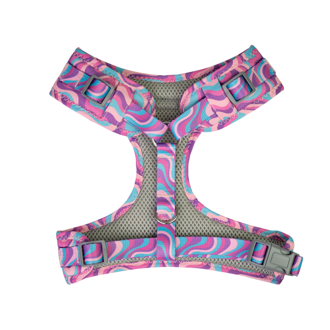 Dan & Sam - Dog Harness (Disco Party) - Large