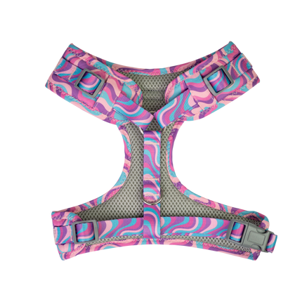 Dan & Sam - Dog Harness (Disco Party) - X-Small