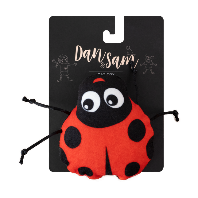 Dan & Sam Lucky Ladybug