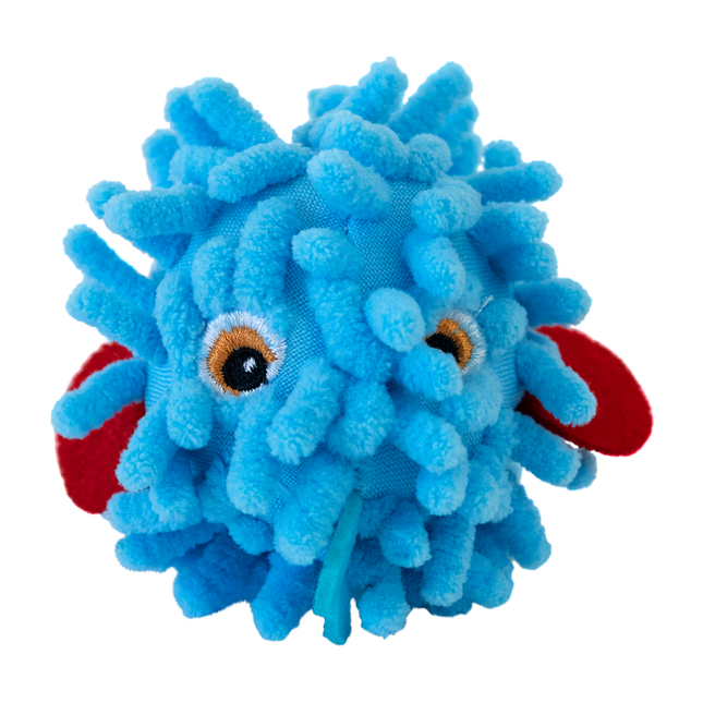 Feline First Blow the Pufferfish