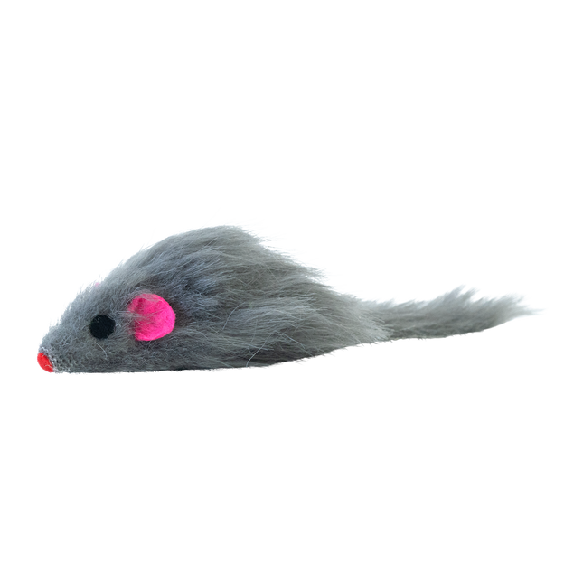 Feline First Max the Mouse