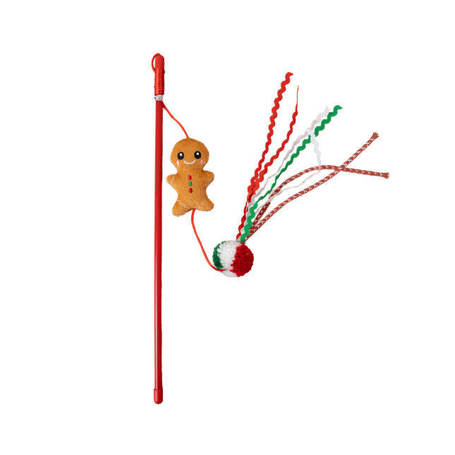 Dan & Sam Christmas Dancing Gingerbread Man Teaser