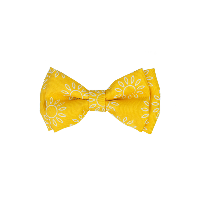 Dan & Sam - Dog Bowtie (Wild Sunflower)