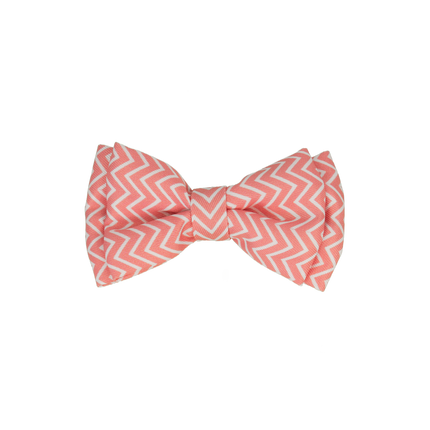Dan & Sam - Dog Bowtie (Candy Floss)