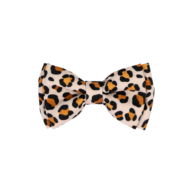 Dan & Sam - Dog Bowtie (Wild One)