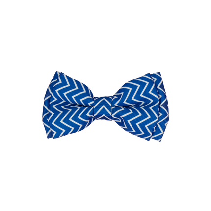 Dan & Sam - Dog Bowtie (Ziggy)