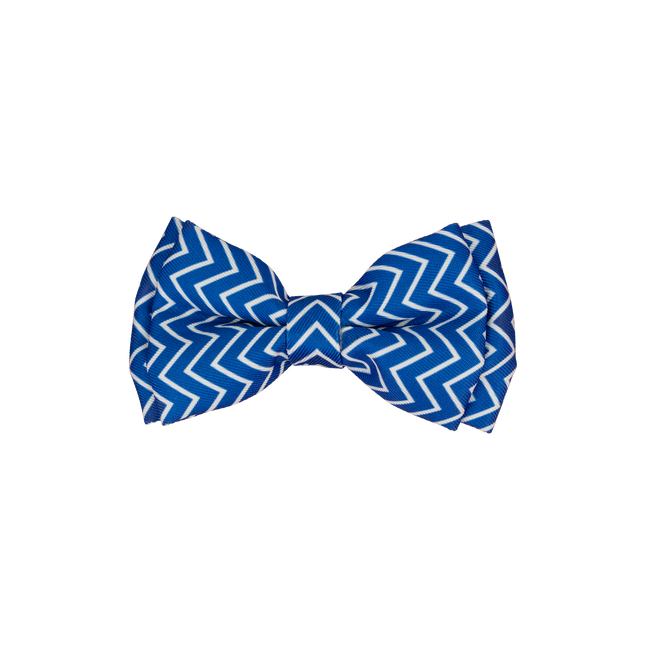 Dan & Sam - Dog Bowtie (Ziggy)