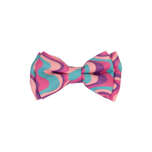 Dan & Sam - Dog Bowtie (Disco Party)