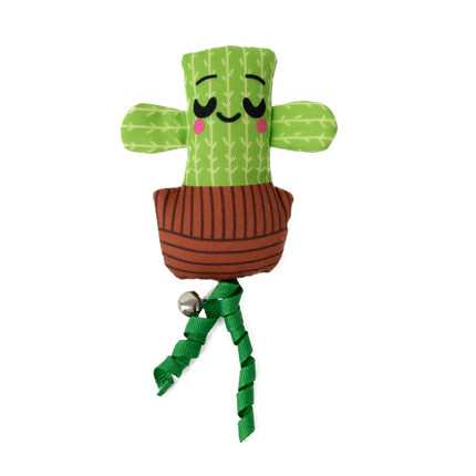 Dan & Sam Calming Cactus