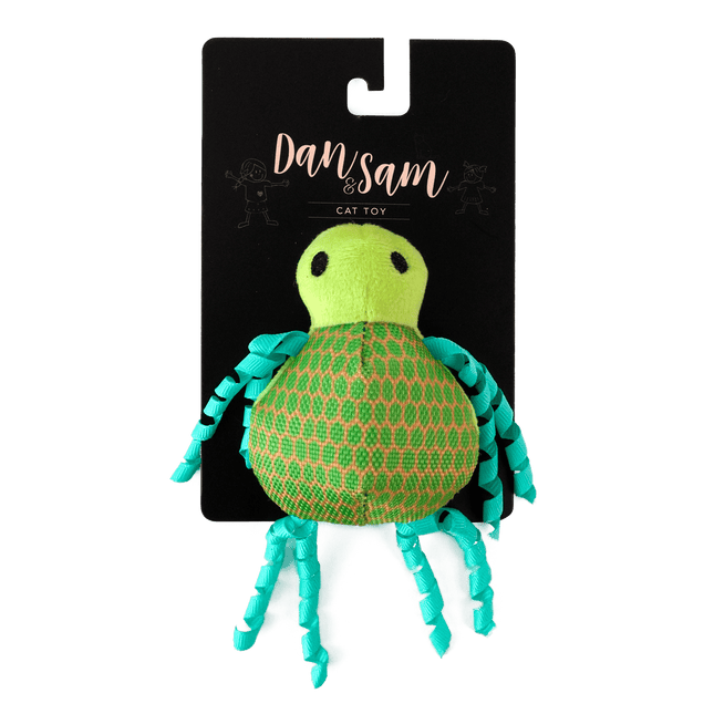 Dan & Sam Twirly Turtle