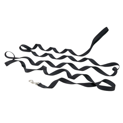 WagTime Training Lead - 5m