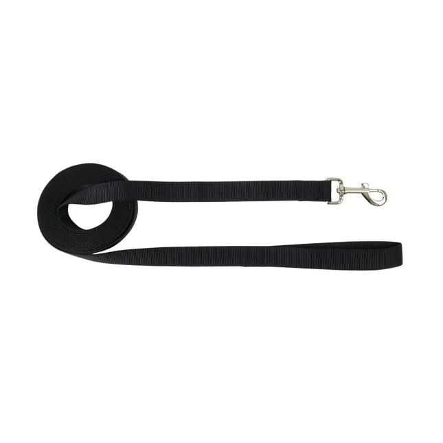 WagTime Training Lead - 5m