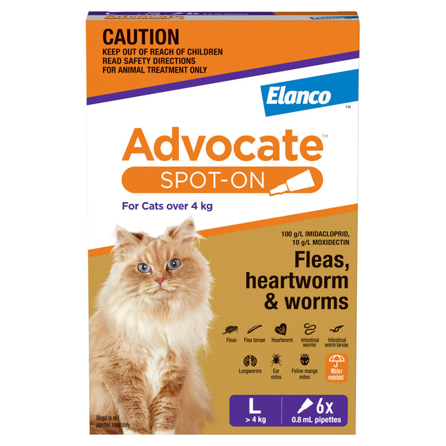 Advocate Spot-On for Cats over 4kg Purple 6pk