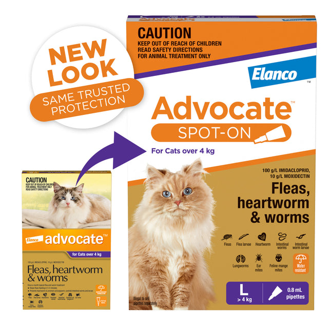 Advocate Spot-On for Cats over 4kg Purple 6pk