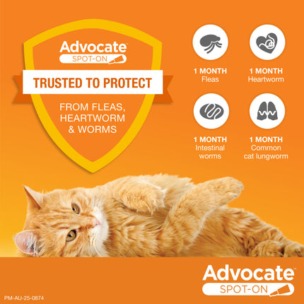 Advocate Spot-On for Cats over 4kg Purple 1pk