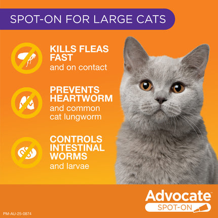Advocate Spot-On for Cats over 4kg Purple 1pk
