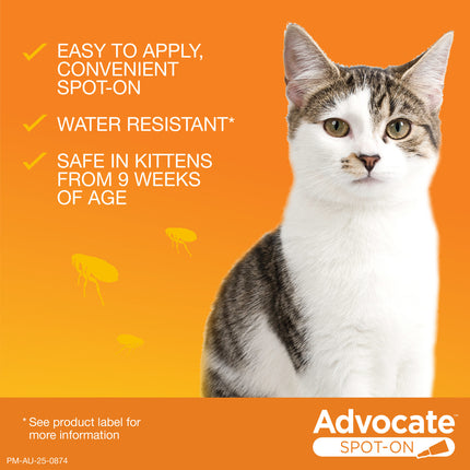 Advocate Spot-On for Cats over 4kg Purple 1pk