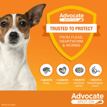 Advocate Spot-On for Dogs up to 4kg 1pk