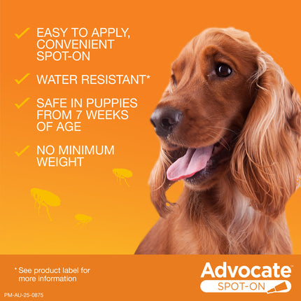 Advocate Spot-On for Dogs up to 4kg 1pk