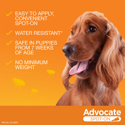 Advocate Spot-On for Dogs 4-10kg Aqua 1pk