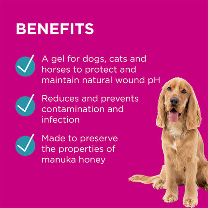 PAW Manuka Wound Gel for Dogs, Cats and Horses 25g