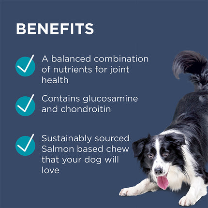 PAW Osteocare Joint Protect Chews for Dogs 60pk