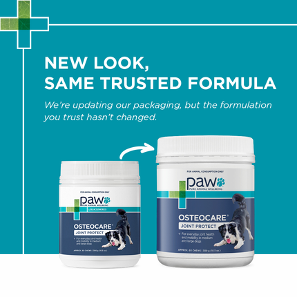 PAW Osteocare Joint Protect Chews for Dogs 60pk