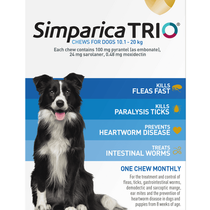 Simparica Trio - Chews for Dogs 10.1-20kg (3pk)