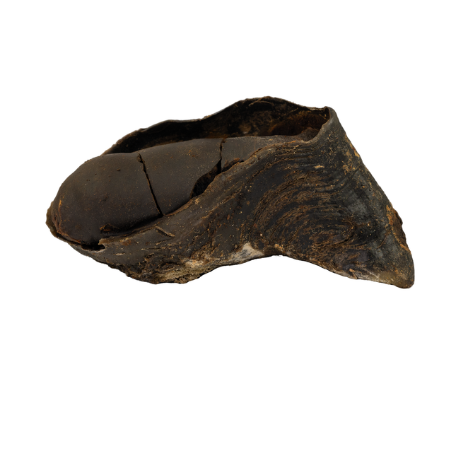 Beef Filled Hoof Dog Treat (Single)