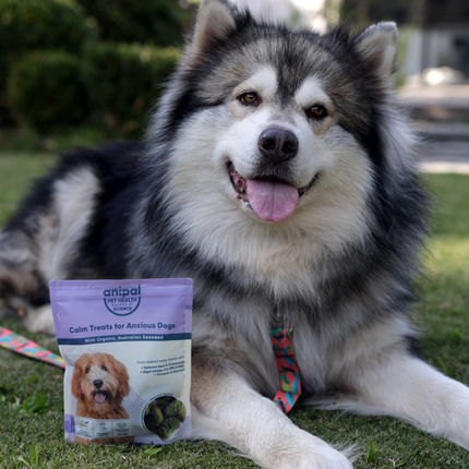 Anipal Calms Treats for Anxious Dogs 130g