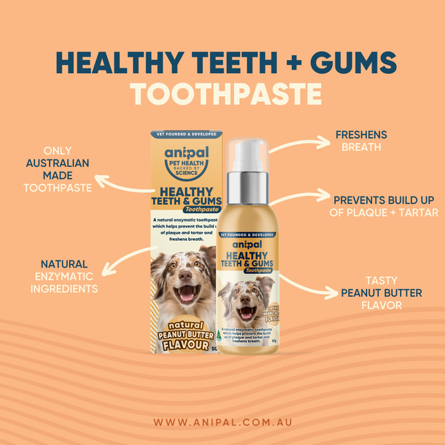 Anipal Healthy Teeth & Gums Peanut Butter Toothpaste 50g