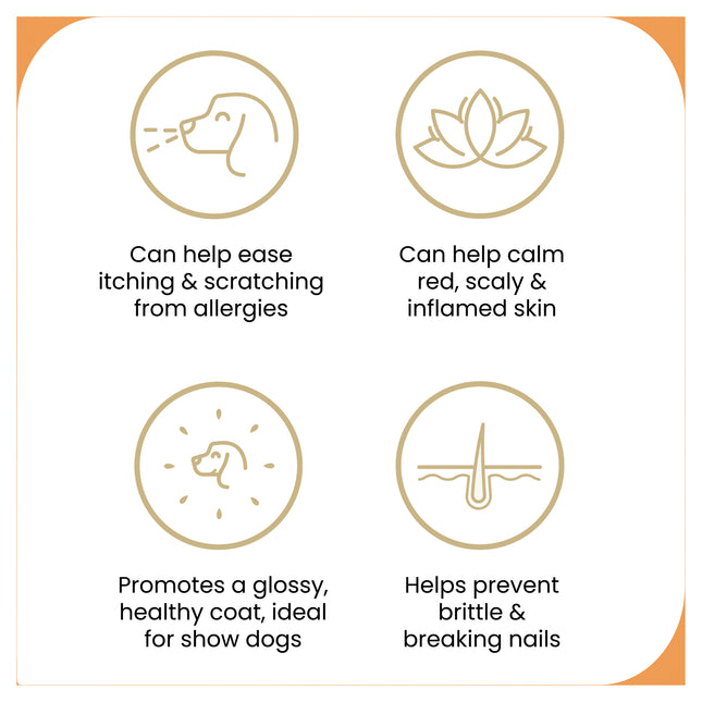 ZamiPet - Allergy & Itch Dog Chews (60pk)