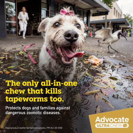 Advocate Ultra Chew Dog 2.9-5.5kg 6pk