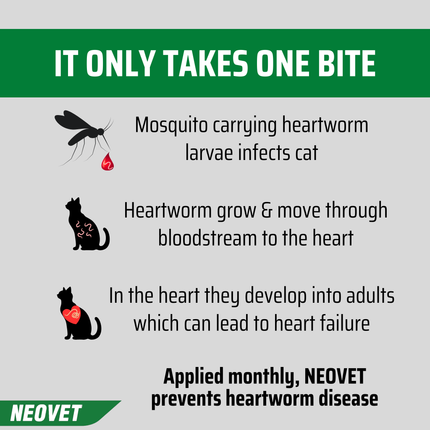 NEOVET - Kittens & Small Cats Up to 4kg (3pk)