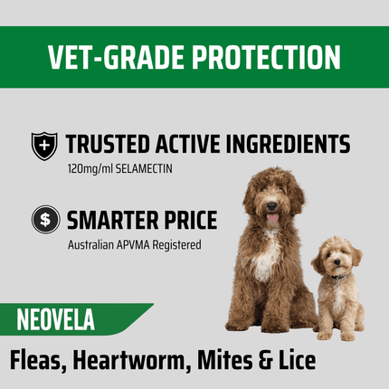 NEOVET - Dogs 4-10kg (3pk)