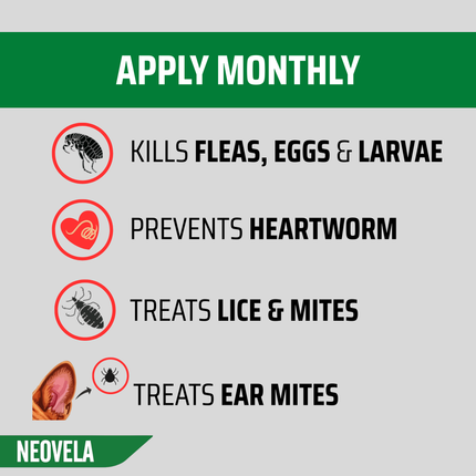 NEOVET - Dogs 4-10kg (3pk)