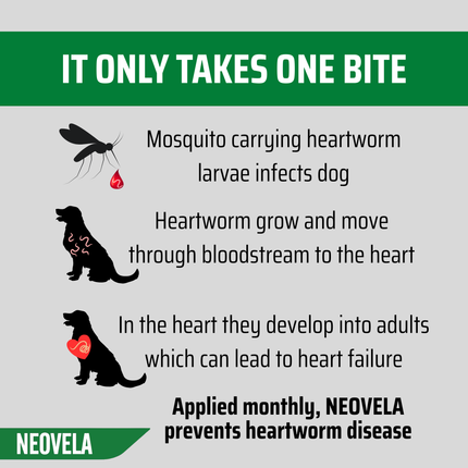 NEOVET - Dogs 4-10kg (3pk)