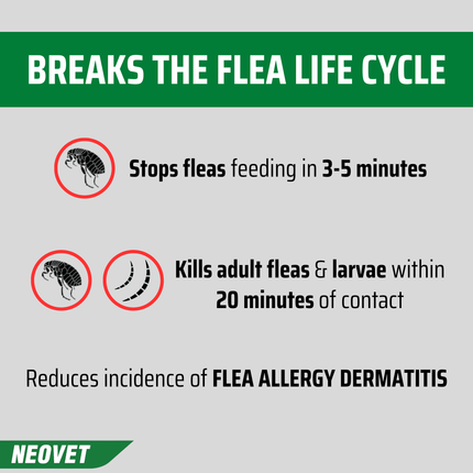 NEOVET - Cats Over 4kg (6pk)