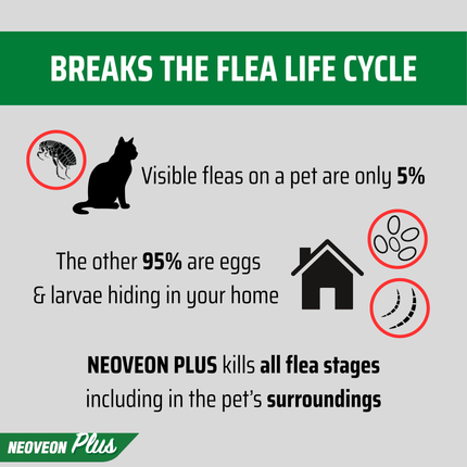 NEOVEON PLUS - Cats (4pk)