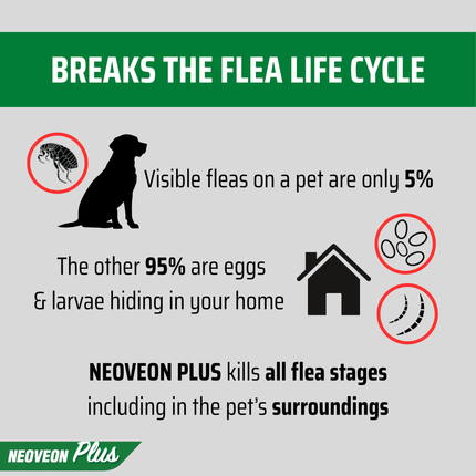 NEOVEON PLUS - Extra Large Dogs 40-60kg (4pk)