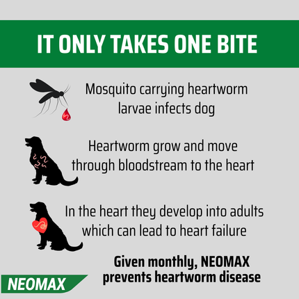 NEOMAX Allwormer for Puppies & Small Dogs (0-5kg) 2 Pack