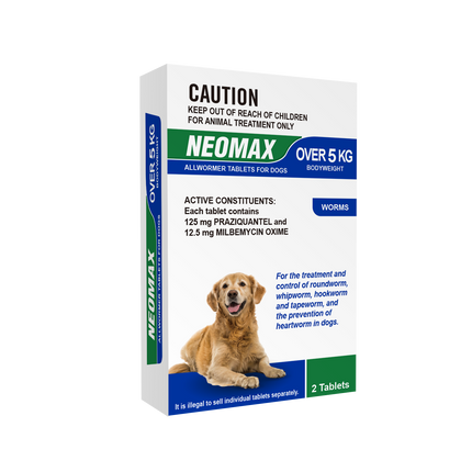 NEOMAX Allwormer for Dogs (Over 5kg) 2 Pack