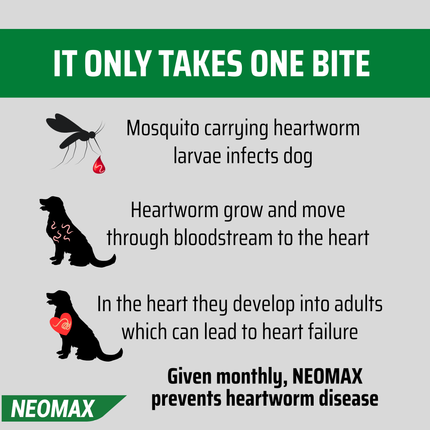NEOMAX Allwormer for Dogs (Over 5kg) 2 Pack