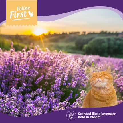 Feline First Deodorising Litter Beads Lavender 250g