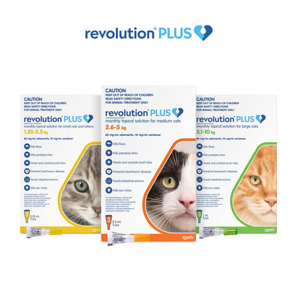 Revolution Plus - Medium Cat (3pk)