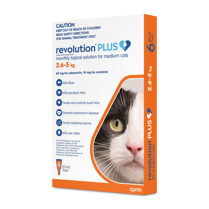 Revolution Plus - Medium Cat (6pk)