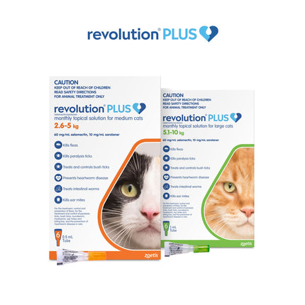 Revolution Plus - Medium Cat (6pk)