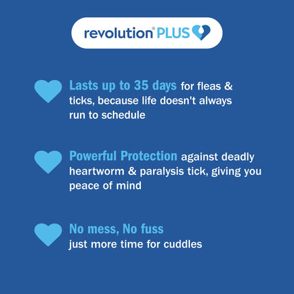 Revolution Plus - Medium Cat (6pk)