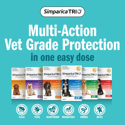Simparica Trio - Chews for Dogs 40.1-60kg (6pk)