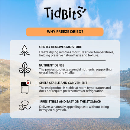 TidBits Freeze Dried Chicken Wing Tips 100g